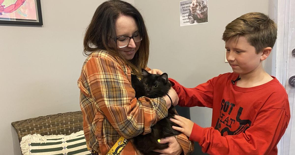 Former Meows of Hope cat finds forever home | News | paducahsun.com