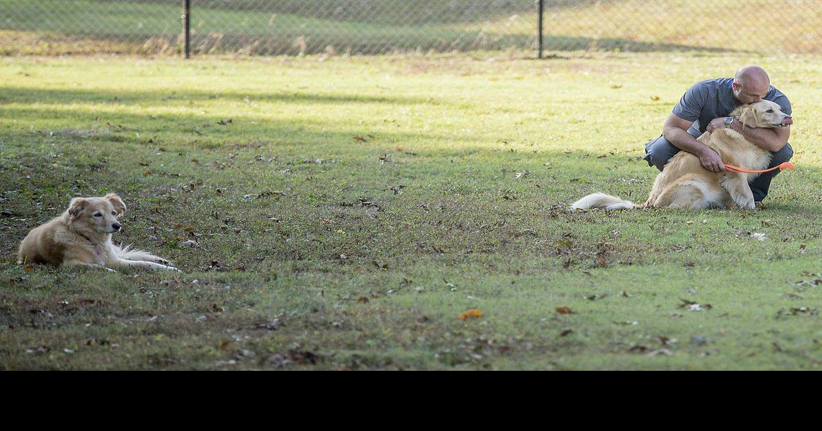 Stronger lights coming to Paducah Dog Park Local News