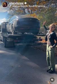 Tesla sold by Sheryl Crow resurfaces in Metropolis, car to find ...