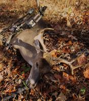 No changes to late deer hunting despite CWD find