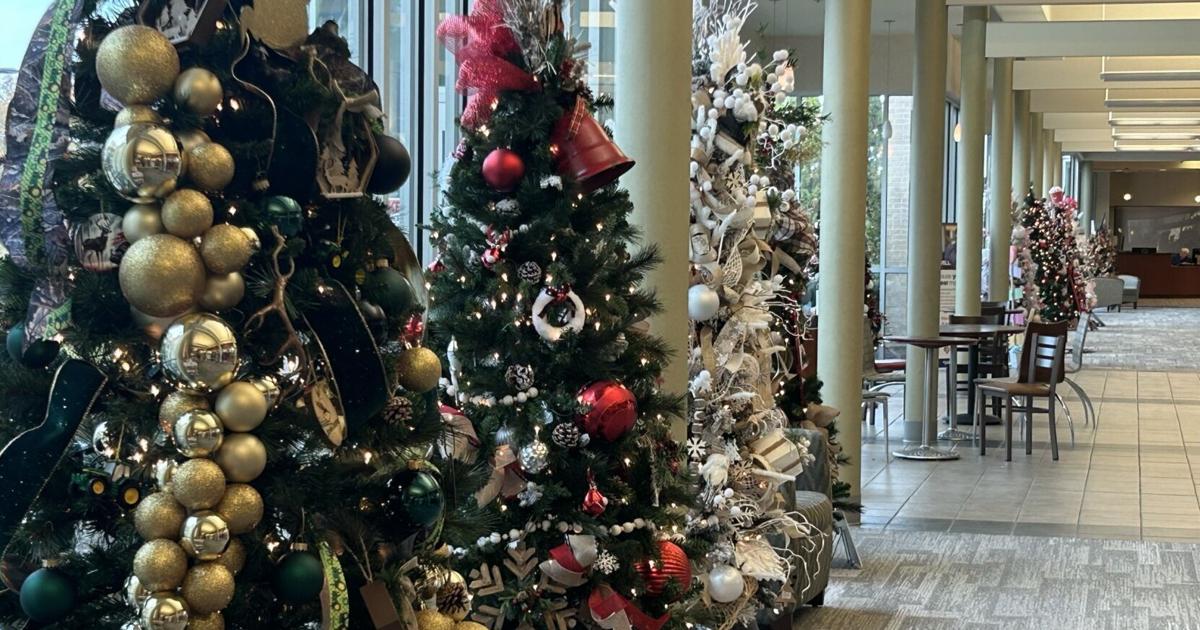 Festival of Trees lights up Mercy Health Lourdes Hospital Drawing