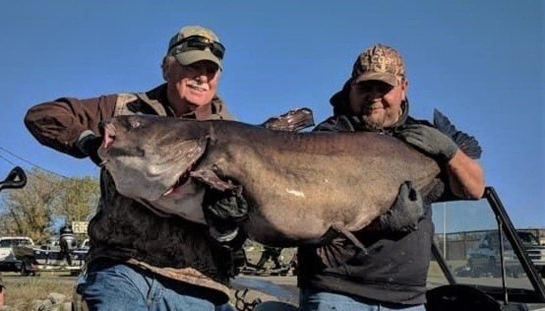 Catch A State Record Fish It S A Rarity But It Happens Local Sports Paducahsun Com