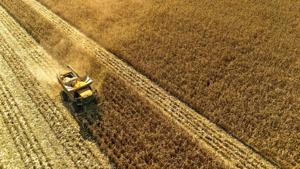 UK Agricultural Economists Release Farmer Support Resource Amid Economic Downturn