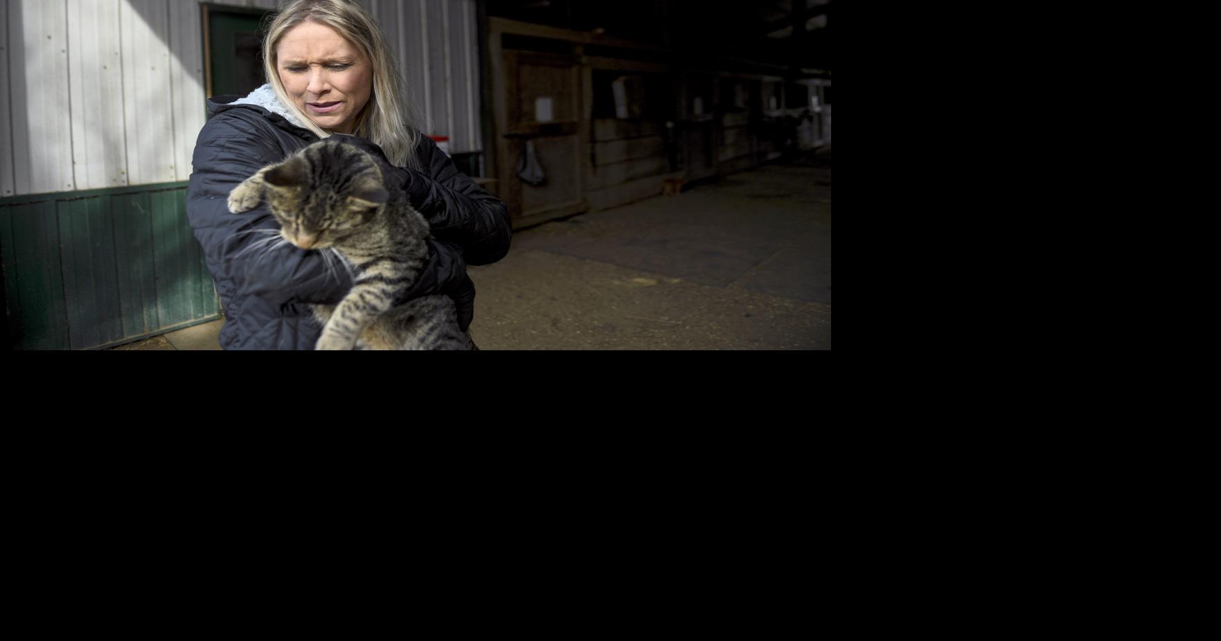 'Cat lady' makes it her mission to rescue animals | News General ...