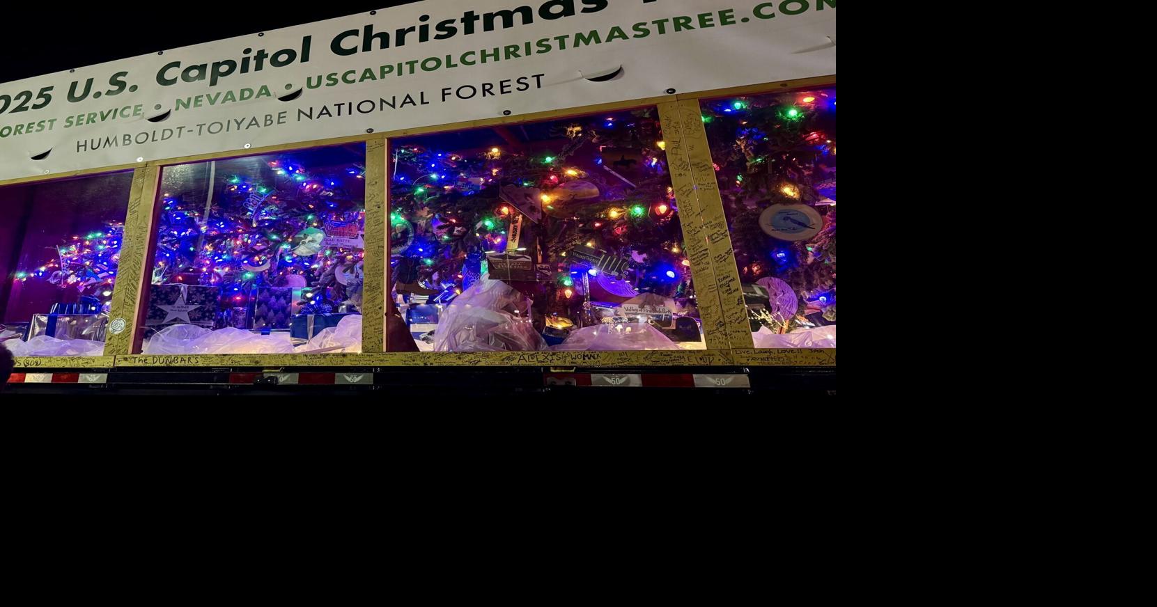 Silver Belle (copy) | | paducahsun.com