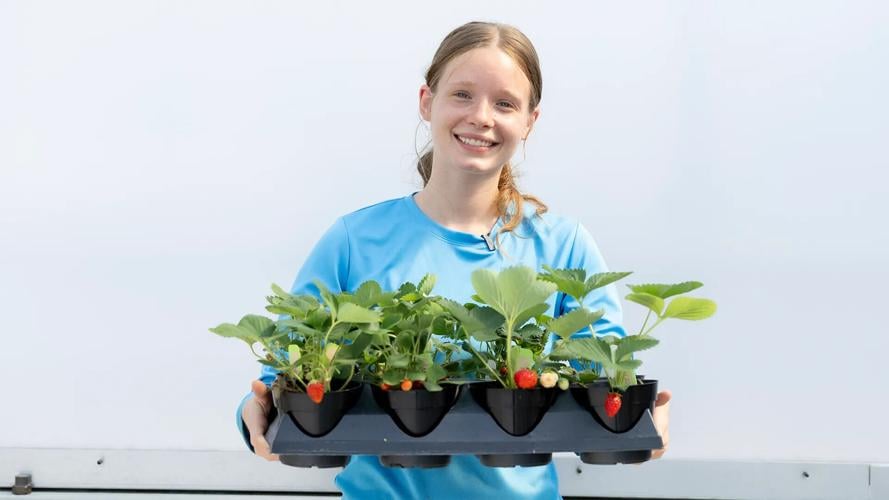 Student Discussion Bad UK student gains recognition, experience as plant breeding ‘independent ...