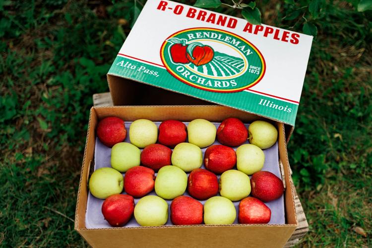 Spring At Rendleman Orchard Rendleman Orchards thrives through generations of change | News ...