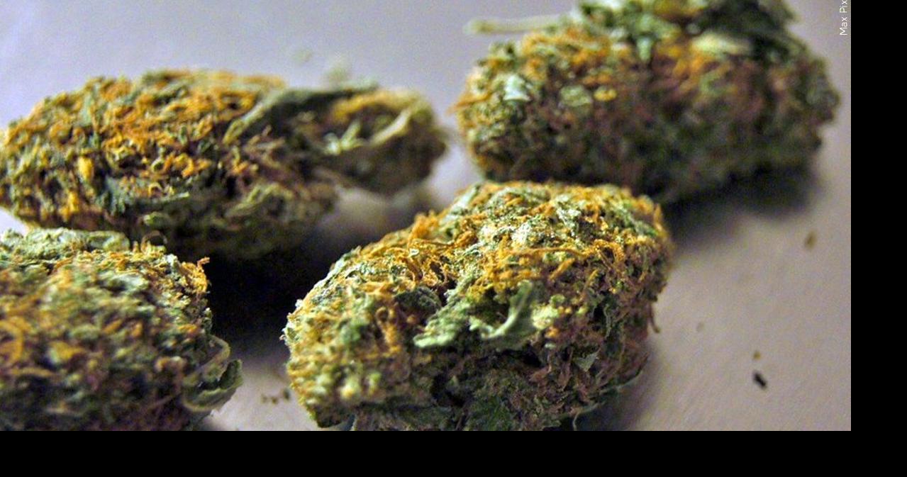 Mayfield City Council passes first reading of medical cannabis ordinance | News