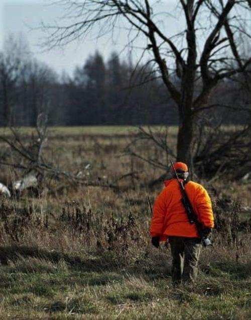 Survivable Hunting Differences In Deer Human Eyes Key In The Rule