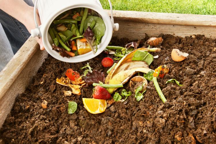 Composting 101: Turning yard waste into something your garden can use ...