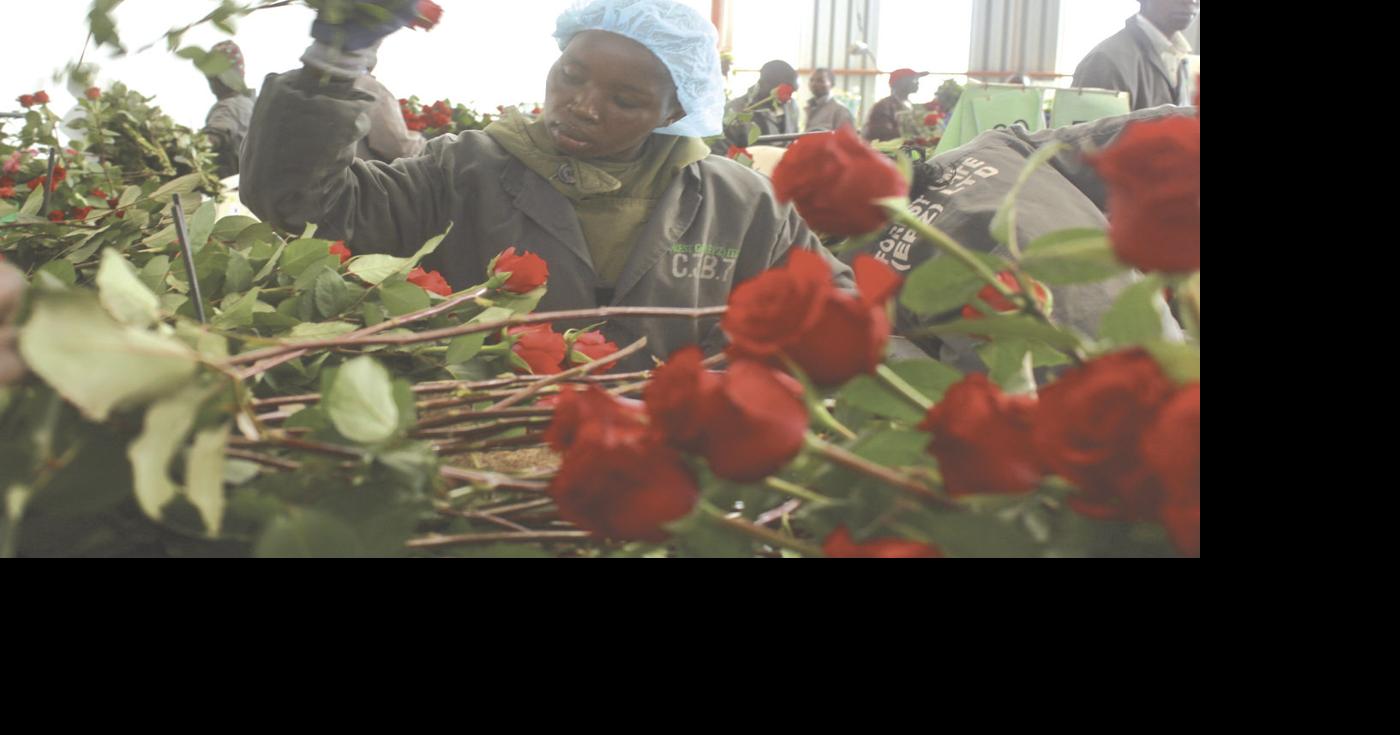 Kenya among top flower exporters News General
