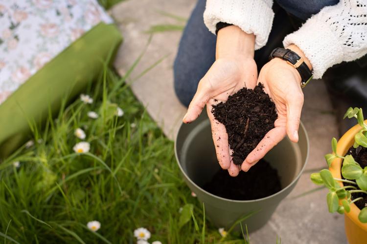 Composting 101: Turning yard waste into something your garden can use ...