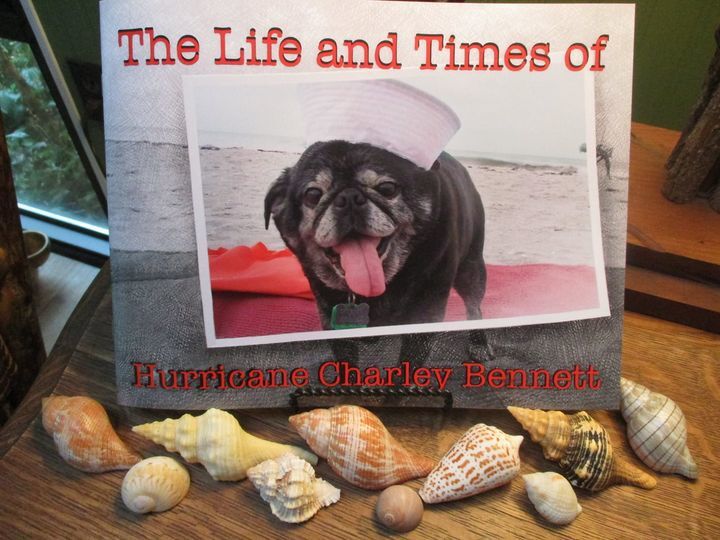 New book benefits Project Hope Humane Society - Vimarsana News