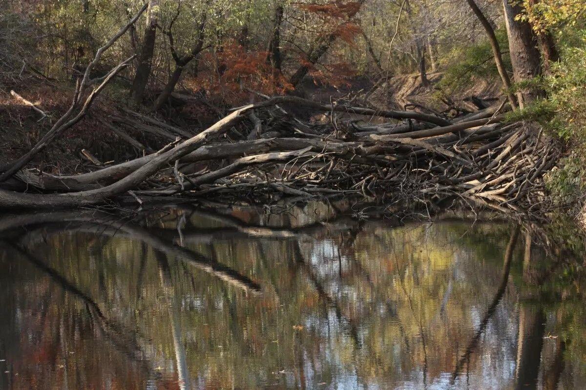 Clarks River National Wildlife Refuge seeks public comment on proposed