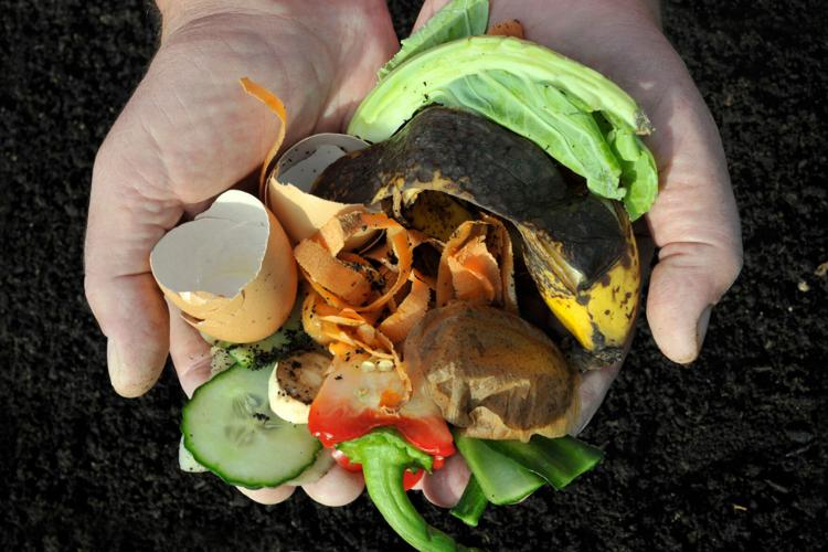Composting 101: Turning yard waste into something your garden can use ...