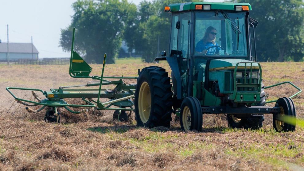 Horse owners should begin stocking up on hay now before it's too late