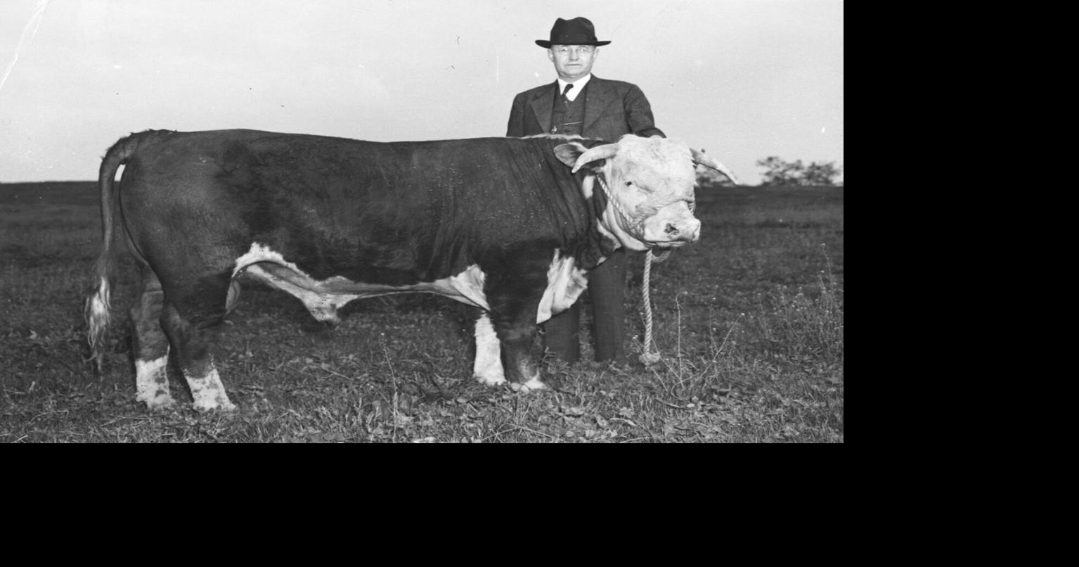 Bill would deny those 65 and up free college tuition