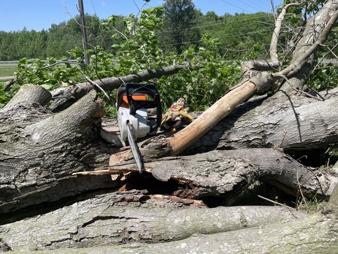 Communities clean up fallen trees after Wednesday's storms | News ...