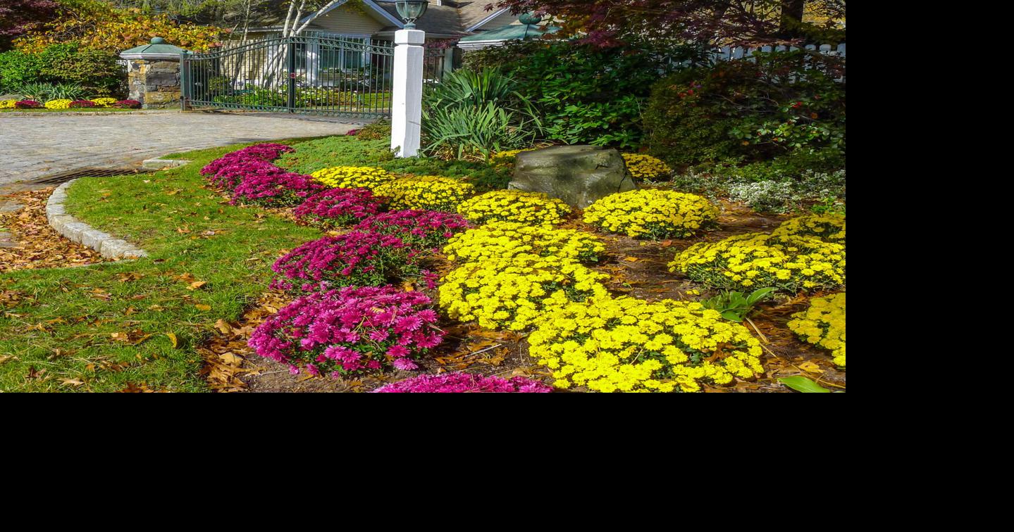 Color’s importance in the garden | Columnists | paducahsun.com