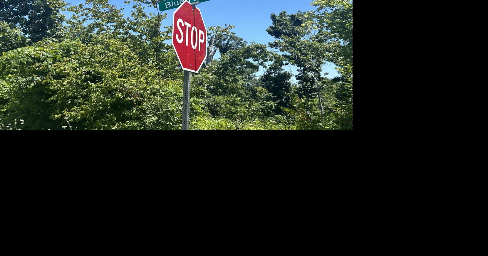 Lyon County sheriff seeks public's help finding stolen road signs ...