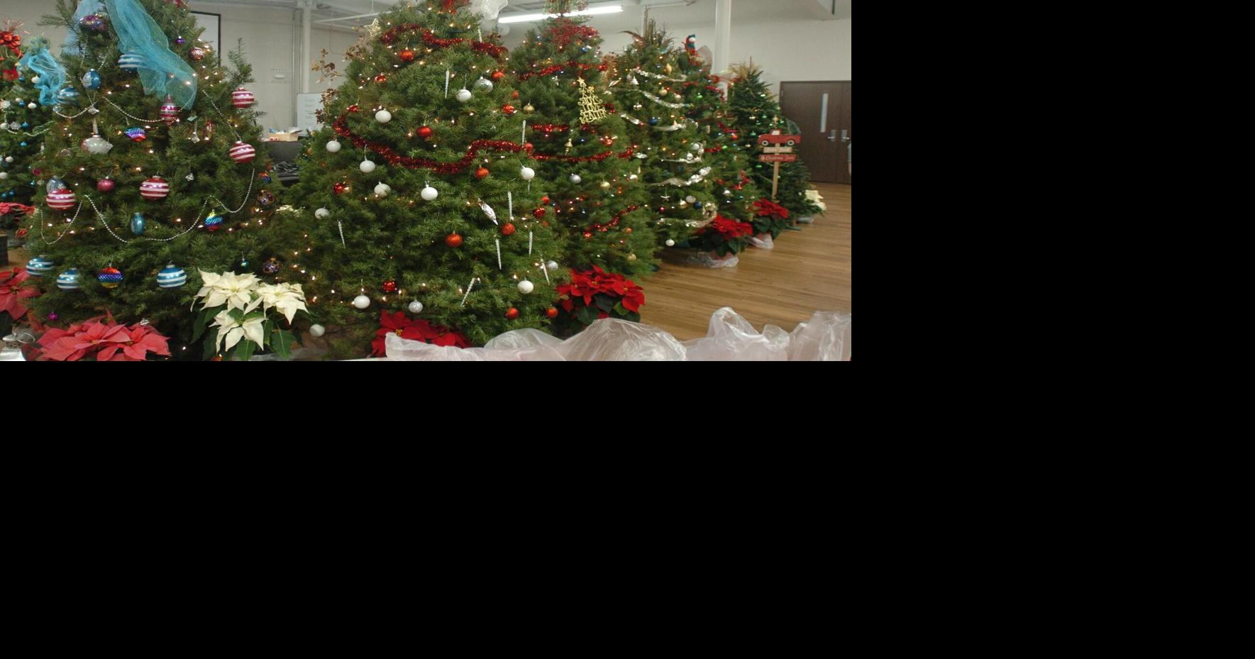 Christmas trees bring joy, hope to tornado survivors News