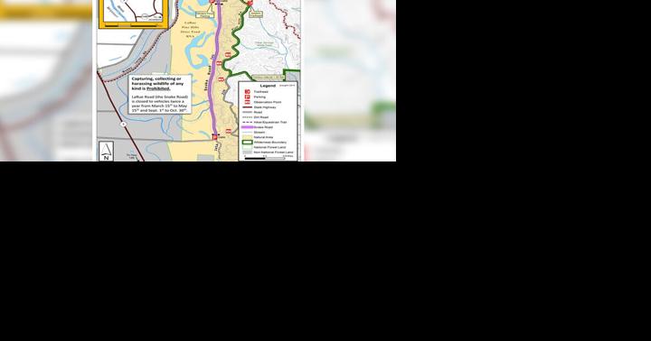 Snake Road in Shawnee National Forest closes early for spring migration - Vimarsana News