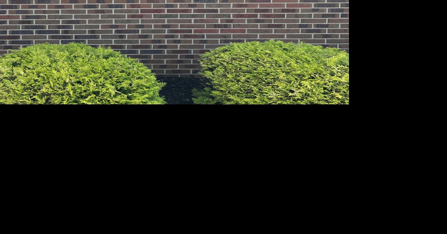 Kentucky Legal Aid to host free expungement event News