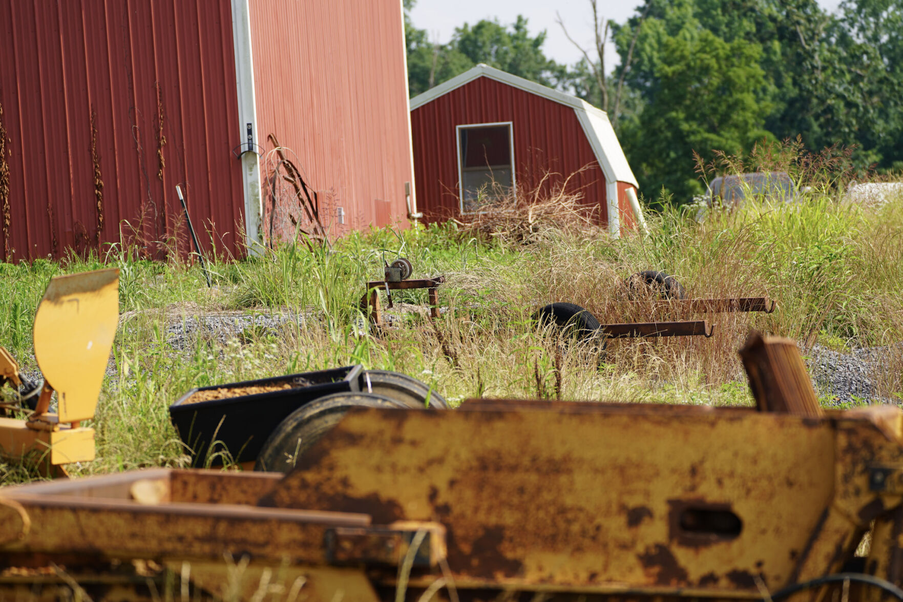 Two years later, banks grapple with impact of massive ghost cattle ...