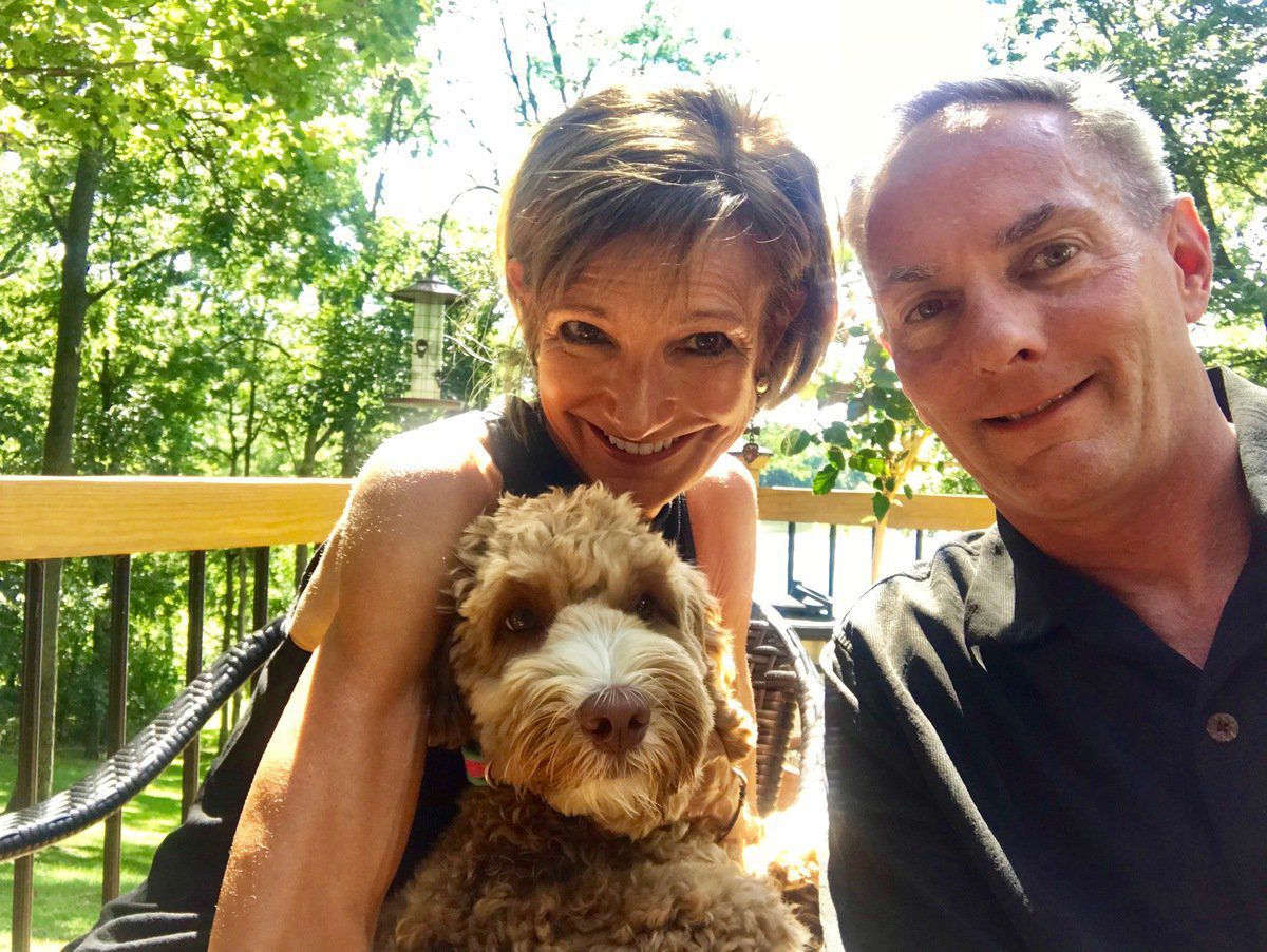 springfield labradoodles