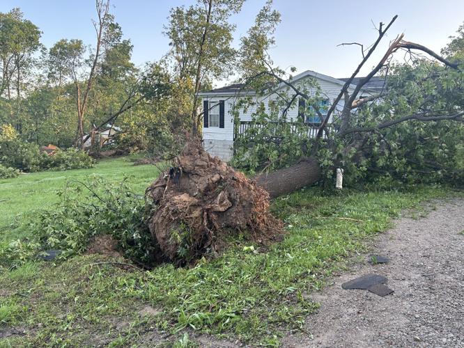 Storms destroy homes, uproot trees and take down powerlines in southern ...