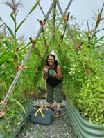 Q&A: Anne Townsend, Natural Resources, Environment, and Energy Extension Program Coordinator with University of Illinois Extension