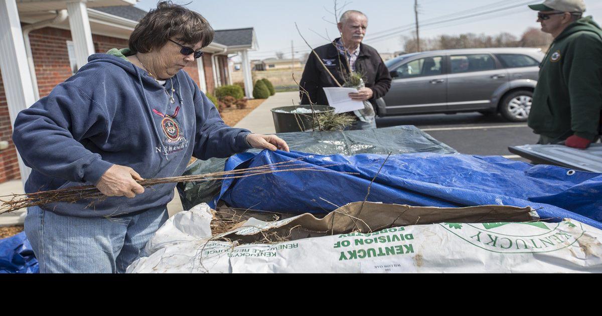 Free trees Local News