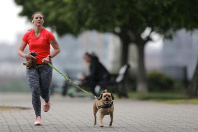 Pet Owners Bonding With Their Dogs Cats During Pandemic News General Paducahsun Com