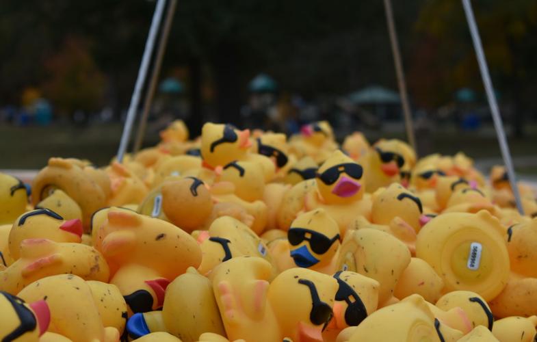 PaDucky Derby ducks 'race' for Merryman House News