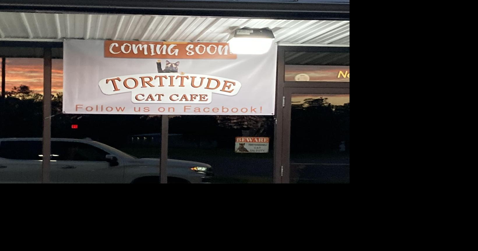 McGangsters celebrate opening of Paducah cat café with adoption event