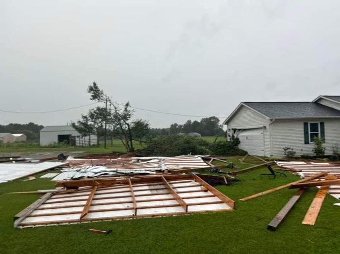 Downed trees, storm damage reported after severe weather | News ...