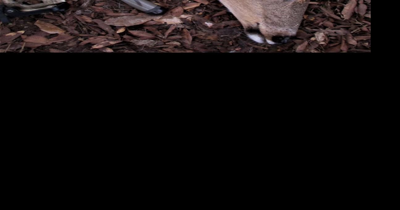 Monday concludes state's 136day deer hunting year Sports