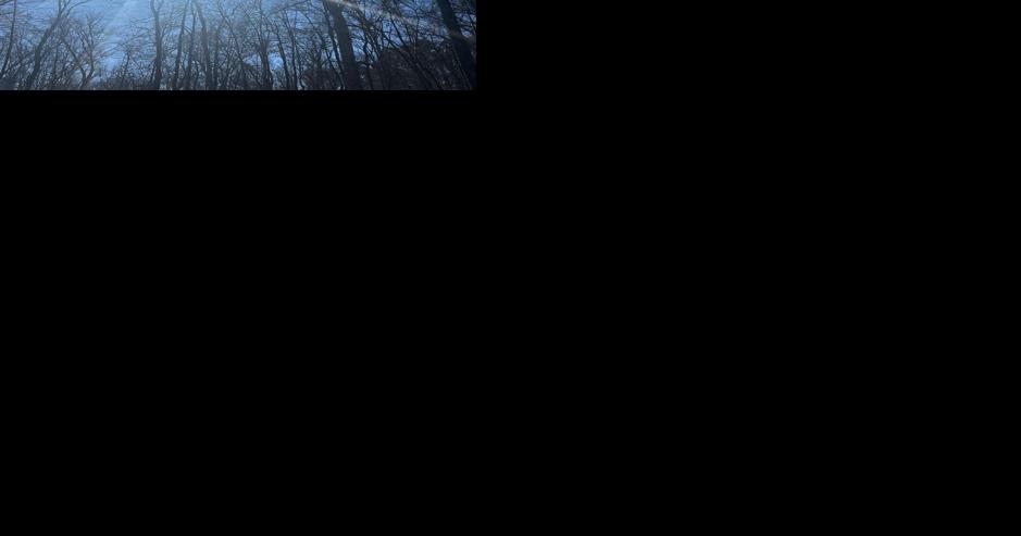 Shawnee National Forest planning ahead for April 8 eclipse campers - Vimarsana News