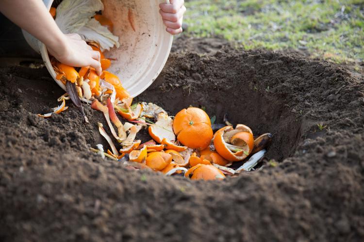 Composting 101: Turning yard waste into something your garden can use ...