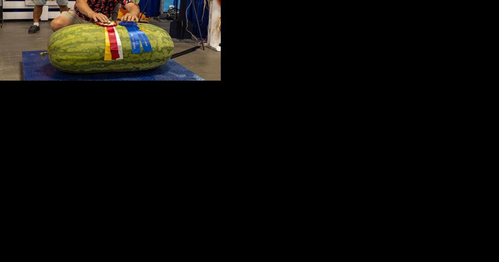 Biggest pumpkin, watermelon grown in Kentucky crowned at State Fair - Vimarsana News