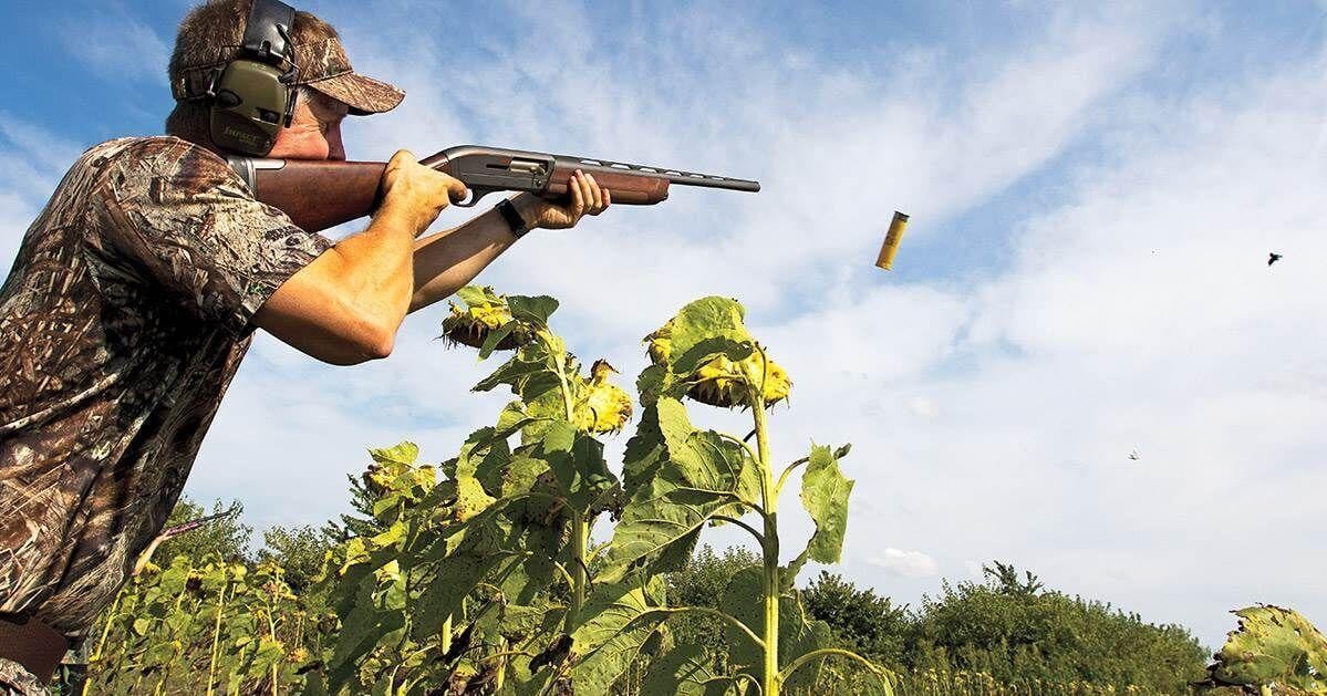 First-weekend doves high on hunter calendar