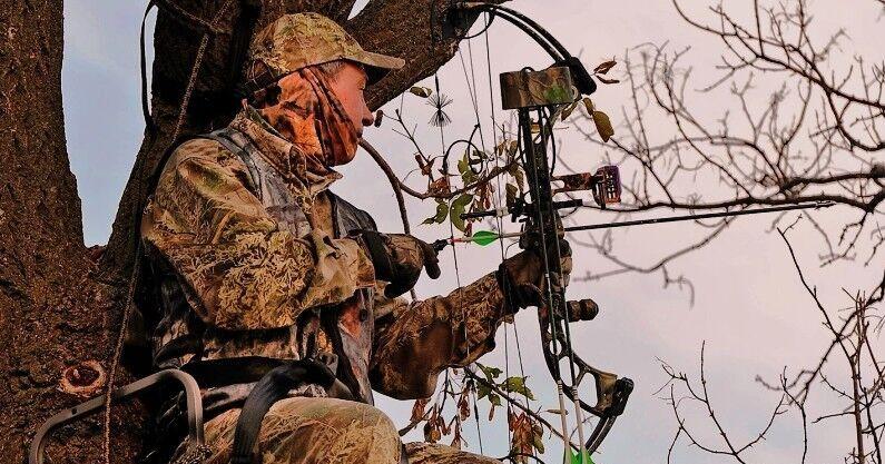 Bowhunt blunders: Best teacher of what works? Experience what doesn't