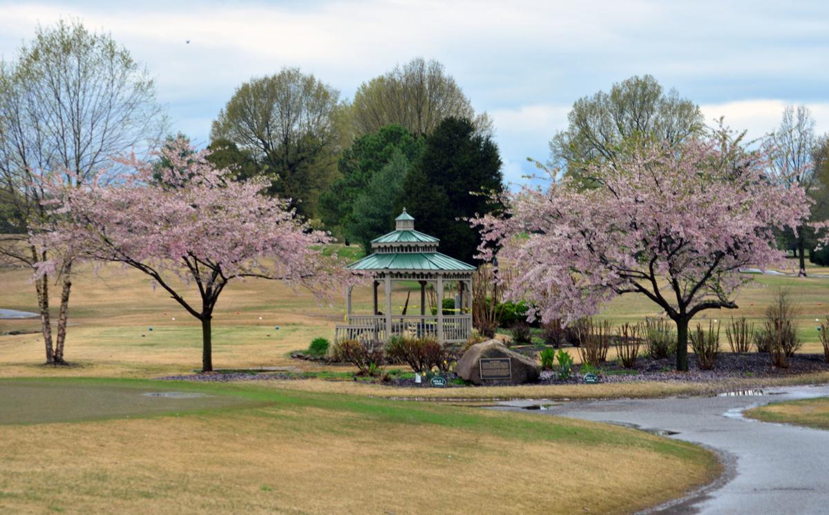 Paxton Park, Paducah Country Club among courses heeding Beshear's call