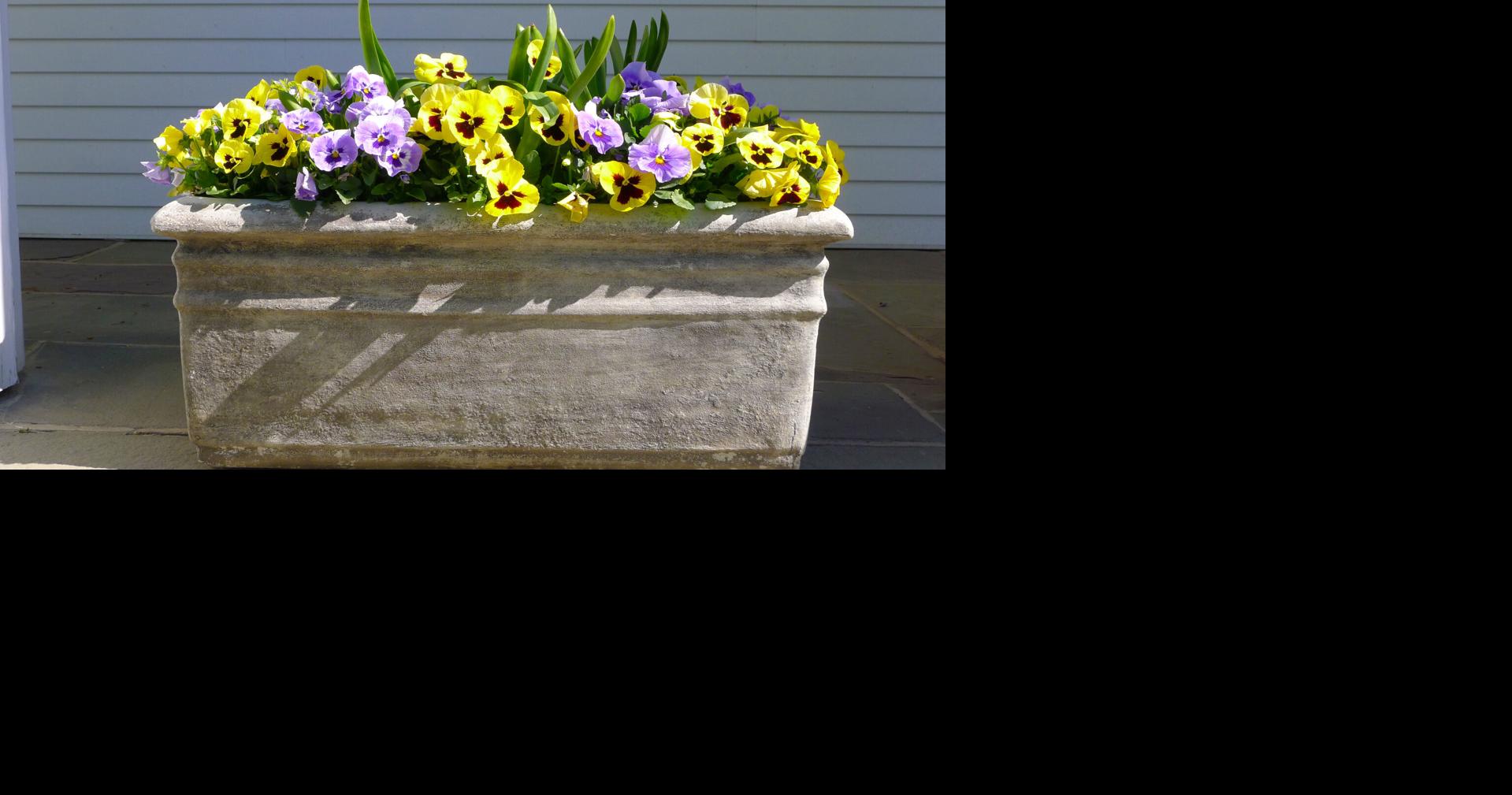 Enliven the garden with rich autumn colors