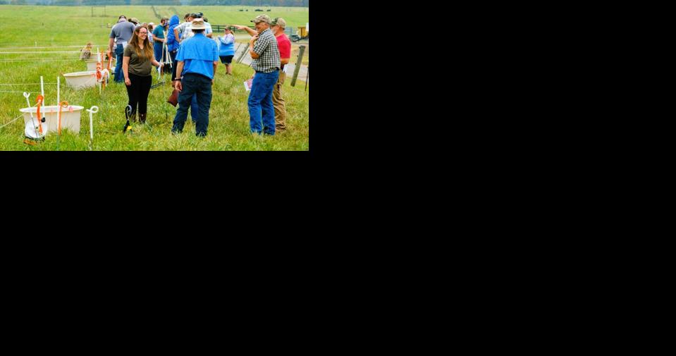2024 Kentucky Beginning Grazing School aims to help livestock producers - Vimarsana News
