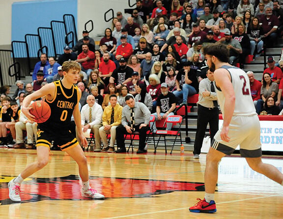 Golden Eagles fall to Hornets in 57th District opener | Sports ...