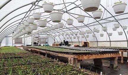 Griffith Family Farm Opens New Farm Store And Trail Station News Paintsvilleherald Com
