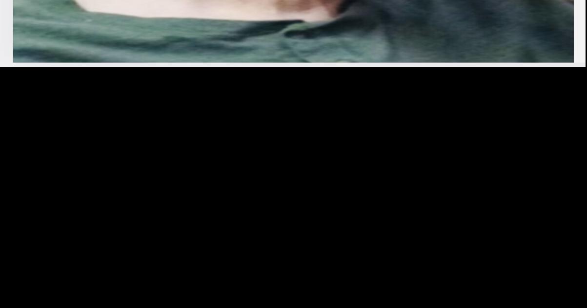 Obituaries 12623 Obituaries