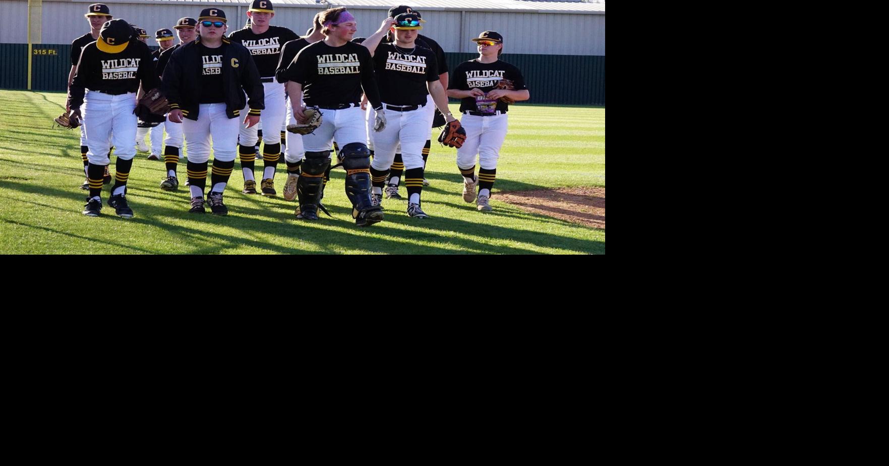 High school baseball Cayuga remains unblemished in district play