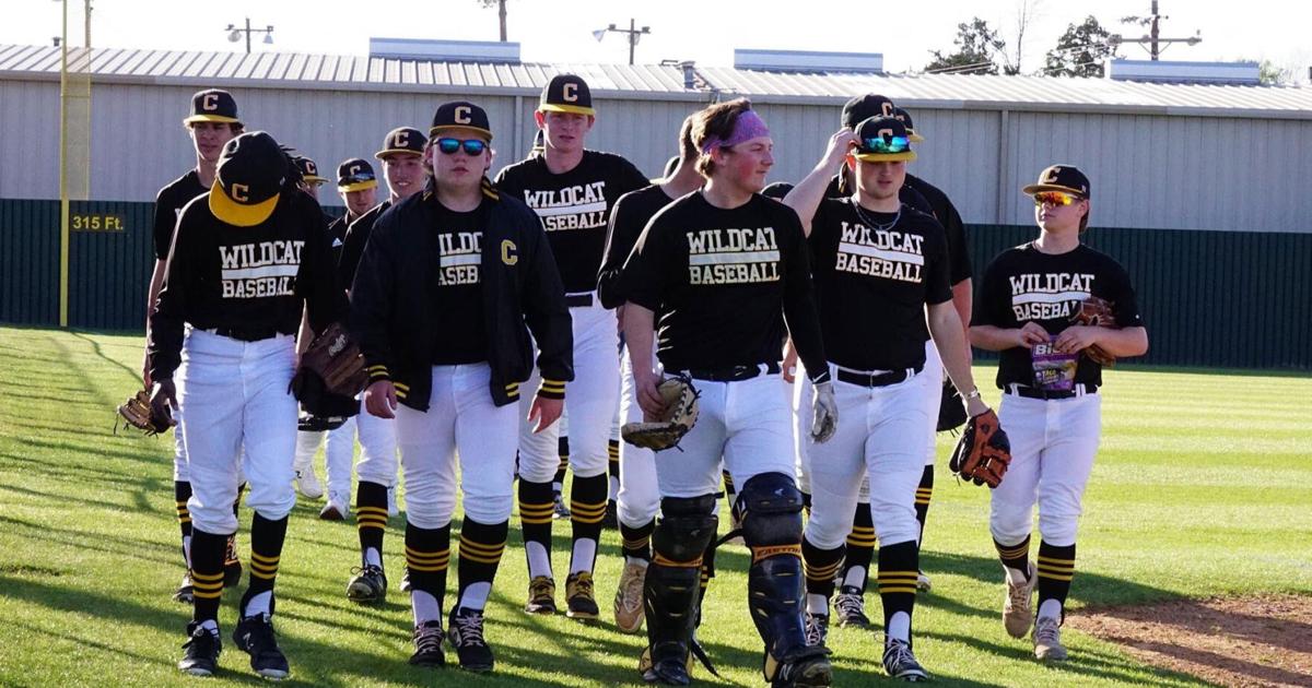 High school baseball Cayuga remains unblemished in district play